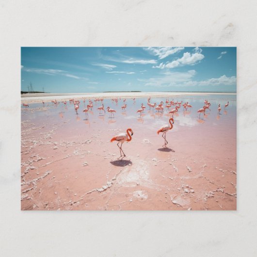 Roze flamingo's briefkaart (Voorkant)