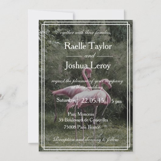 Roze flamingos buitenshuis natuur huwelijksuitnodi kaart (Voorkant)