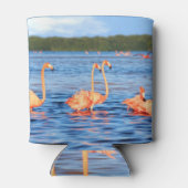 Roze flamingo's: Celestun Park. Blikjeskoeler (Achterkant)