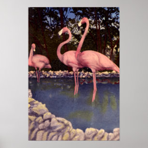 Roze Flamingos, Florida Poster