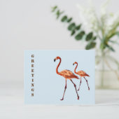 Roze Flamingos Groeten Briefkaart (Staand voorkant)