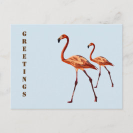 Roze Flamingos Groeten Briefkaart