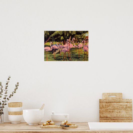 Roze Flamingos in Florida Poster (Keuken)