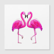 Roze flamingos in liefde