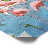  roze flamingo's in Nederland Poster (Hoek)