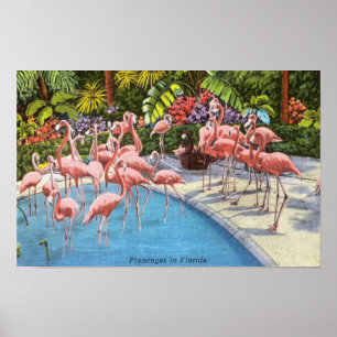  roze flamingo's in Nederland Poster
