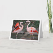Roze Flamingo's Kaart (Voorkant)