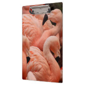 Roze flamingos klembord (Links)