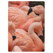 Roze flamingos klembord (Achterkant)