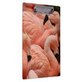 Roze flamingos klembord (Rechts)