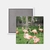 Roze Flamingo's Magneet (Voorkant / Achterkant)