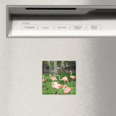 Roze Flamingo's Magneet (Insitu (Vaatwasser))