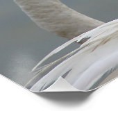 roze flamingo's perfect poster (Hoek)