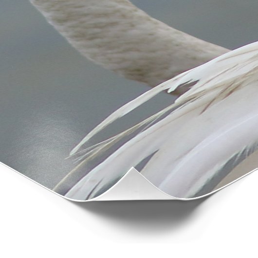 roze flamingo's perfect poster (Hoek)