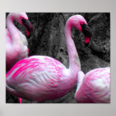 ~Roze Flamingos~ PINK FLAMINGOS, AANGEPAST HET! Poster (Voorkant)