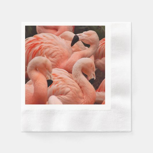 Roze flamingos servetten (Voorkant)