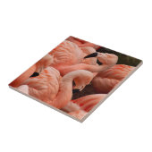 Roze flamingos tegeltje (Zijkant)