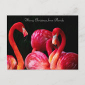 Roze Flamingo's, vrolijk kerstfeest uit Florida Feestdagenkaart (Voorkant)