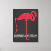 Roze flamingovogel in de dierentuin van München, D Canvas Afdruk (Voorkant)