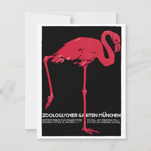 Roze flamingovogel uit de dierentuin van München i (Voorkant)