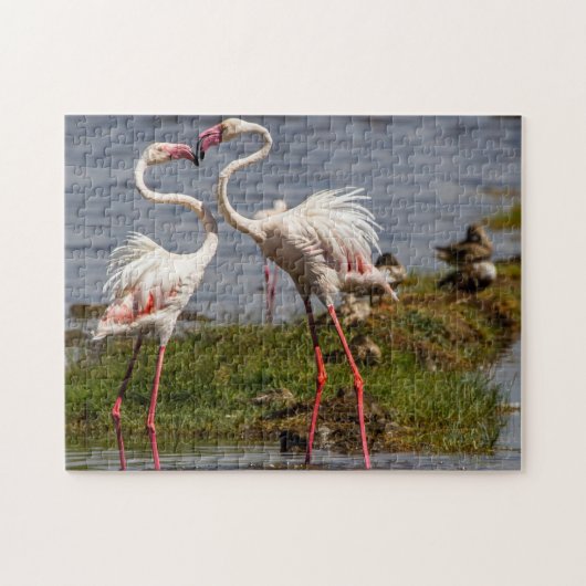 Roze Flamngoes. Legpuzzel (Horizontaal)