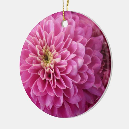 Roze flessencirkel keramisch Ornament (Links)