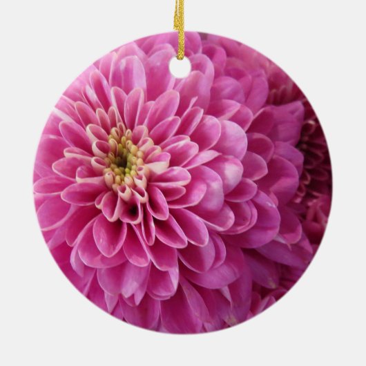 Roze flessencirkel keramisch Ornament (Achterkant)