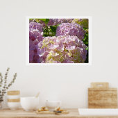 Roze Flora Hydrangea Bloemen kunstprints Poster (Keuken)