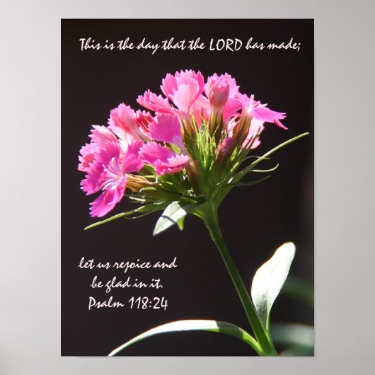 Roze Floral Bloom w/Verse van Psalm 118:24 Poster (Voorkant)