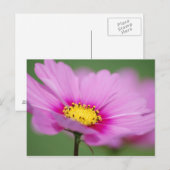 Roze Floral Briefkaart (Voorkant / Achterkant)