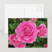 Roze Floral Briefkaart (Voorkant / Achterkant)