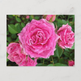 Roze Floral Briefkaart