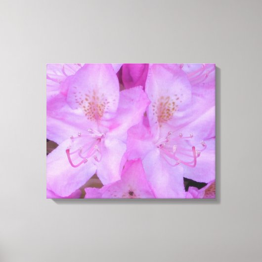 Roze Floral Canvas Art Afdruk (Voorkant)