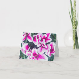 Roze Floral Cyclamen Fotografie Notecard Kaart