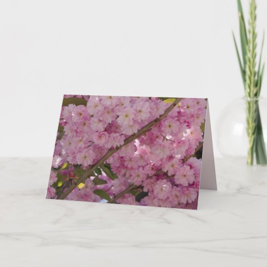Roze Floral en vlinder Kaart (Voorkant)