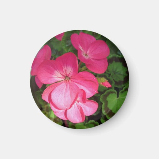 Roze Floral fotografie Magneet (Voorkant)