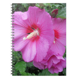 Roze Floral fotografie Notitieboek