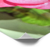 Roze Floral fotografie Poster (Hoek)