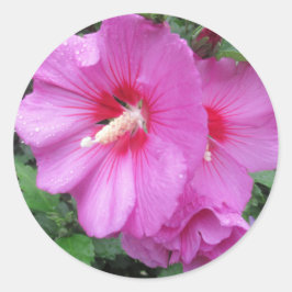 Roze Floral fotografie Ronde Sticker