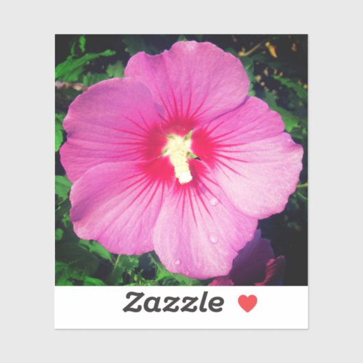 Roze Floral fotografie Sticker (Vel)