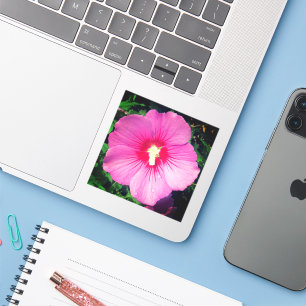 Roze Floral fotografie Sticker