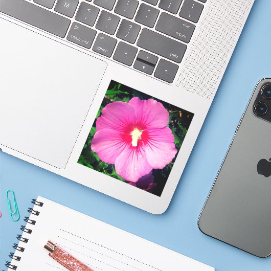 Roze Floral fotografie Sticker (Laptop met iPhone)