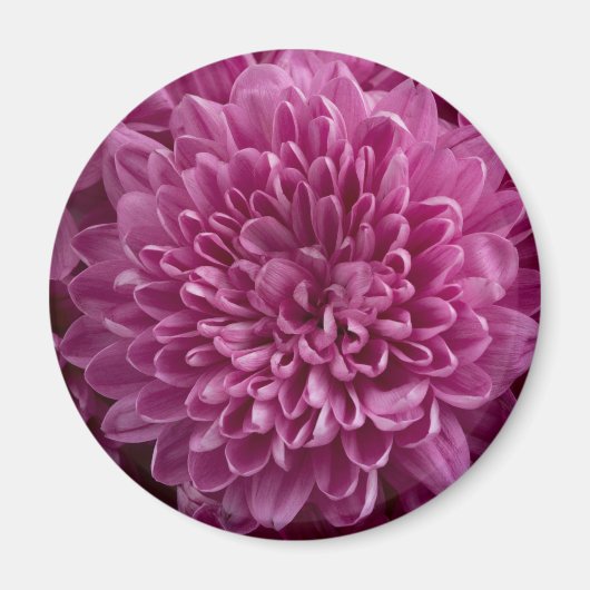 Roze Floral Magneet (Voorkant)
