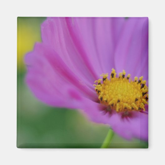 Roze Floral Magnet (Voorkant)