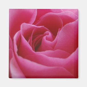Roze Floral Magnet