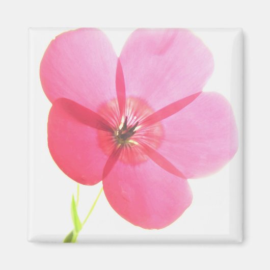 Roze Floral Magnet (Voorkant)