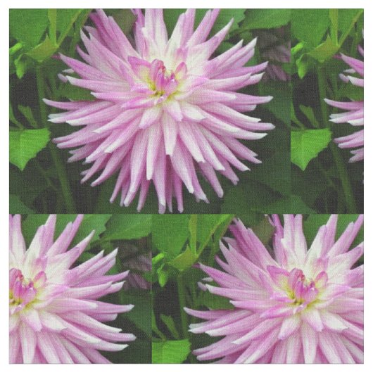 Roze florale stof (Close Up)