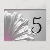 Roze Florentijns Tabelnummer Briefkaart (Achterkant)