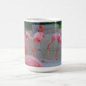 Roze Florida flamingos op het strand Koffiemok (Center)