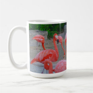 Roze Florida flamingos op het strand Koffiemok